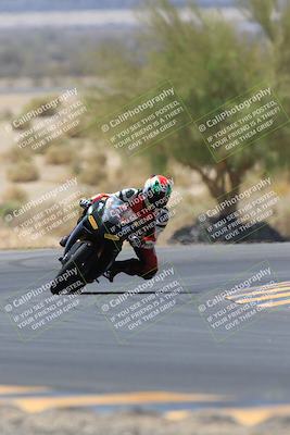 media/May-14-2023-SoCal Trackdays (Sun) [[024eb53b40]]/Turn 5 Tree of Life (1125am)/